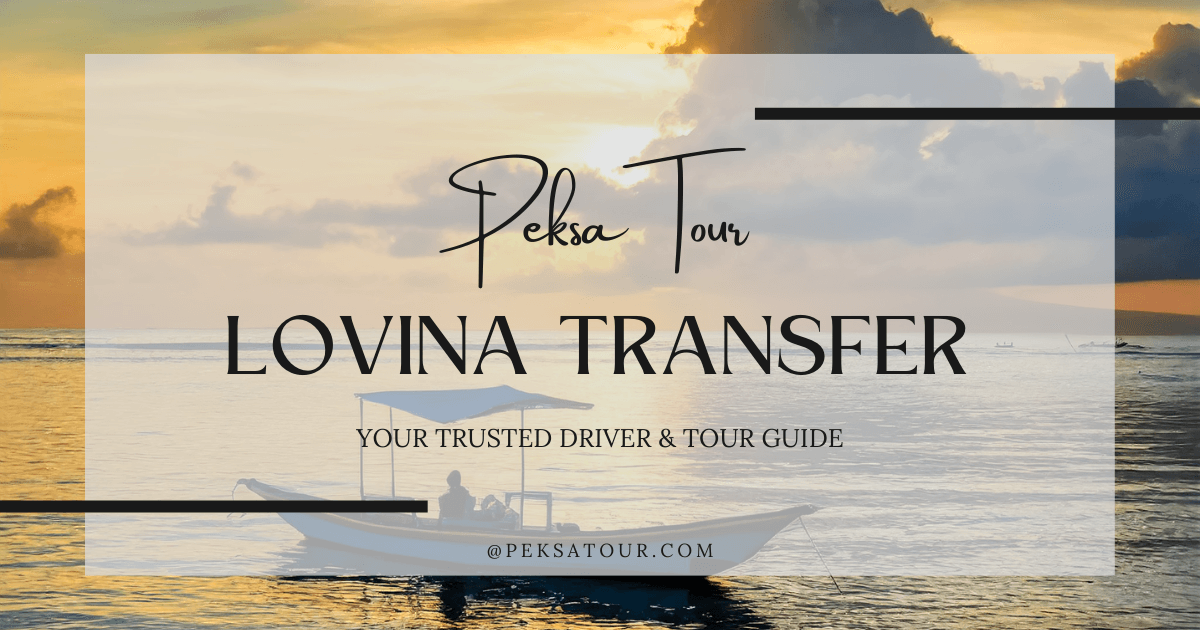 Lovina Transfer Service with Peksa Tour